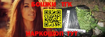 индика Бийск