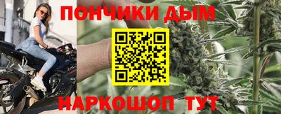 индика Бийск