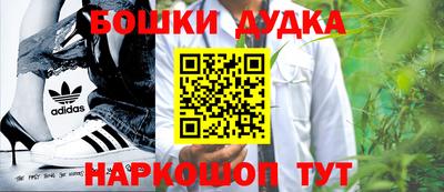 индика Бийск