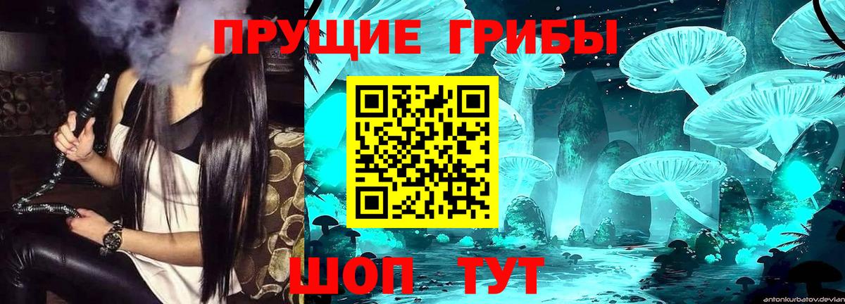 Псилоцибиновые грибы GOLDEN TEACHER Старая Купавна