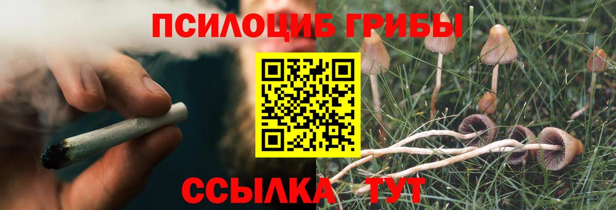 Галлюциногенные грибы прущие грибы  Старая Купавна 