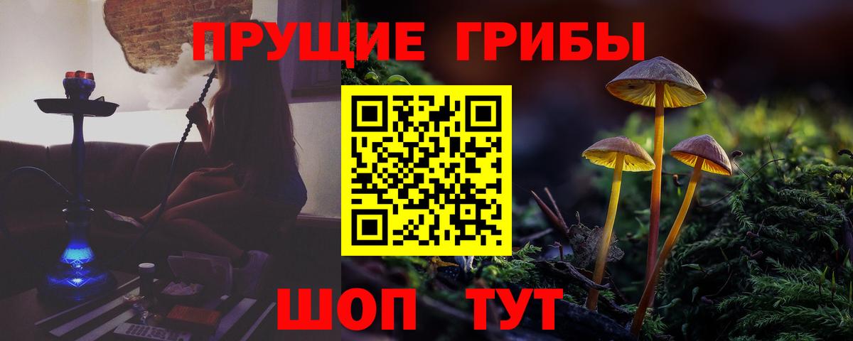 Галлюциногенные грибы Psilocybine cubensis  Вход с VPN  Старая Купавна 